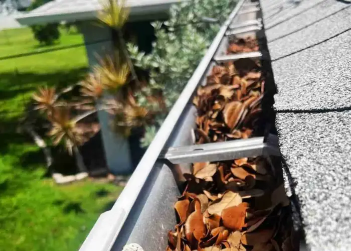 Villa Rica gutter cleaning home page